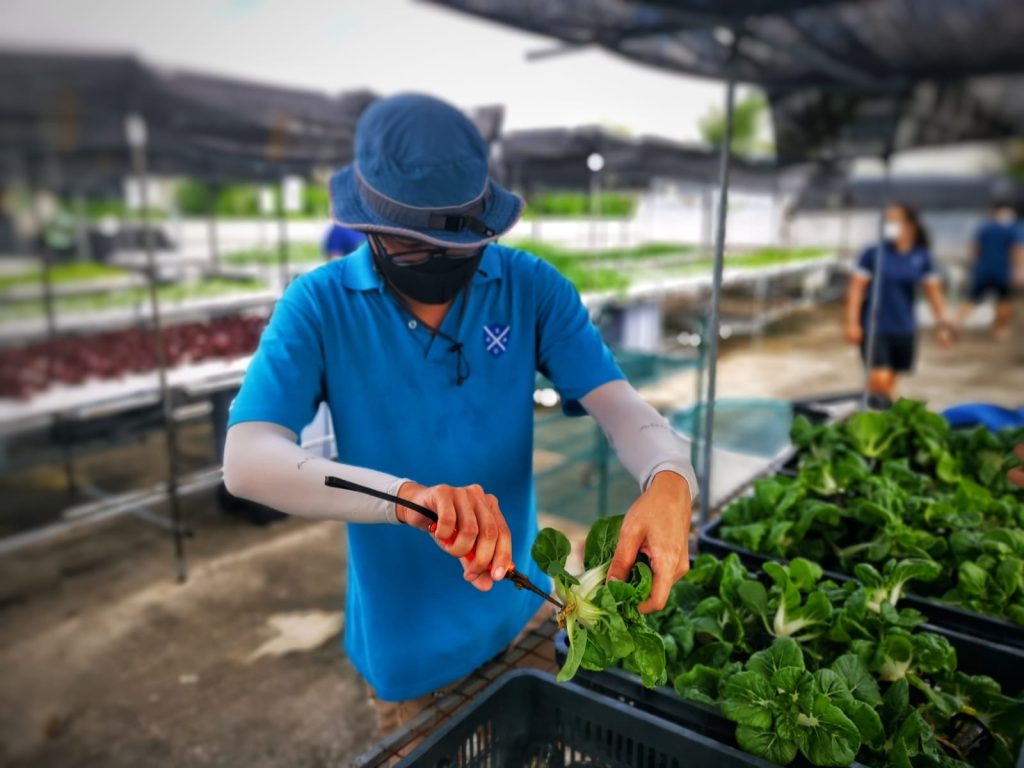 Aloysius Low, St Andrew's Autism Centre, Autism Spectrum Disorder